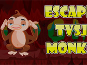 Escape Tvsj monkey