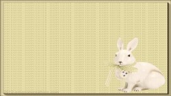 Easter Bunny White Wp