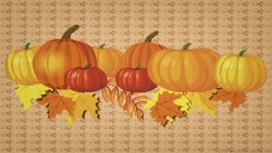 Fall Pumpkins 01 Wp