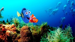 Finding Nemo Wp 02