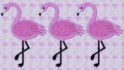 Flamingo Purple Wp