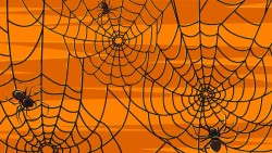 Halloween Spiders Wp 01