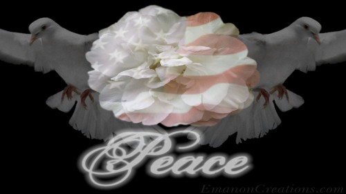 Peace Rose Dove Wp
