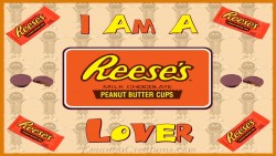 Reeses Lover Wp