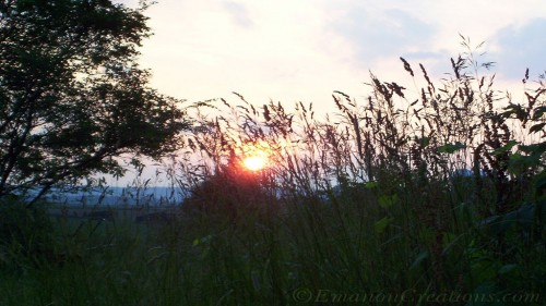 Sunsetbehindgrass Wp