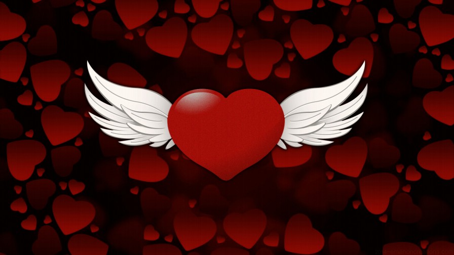 Valentine Heart Wings Wp 01