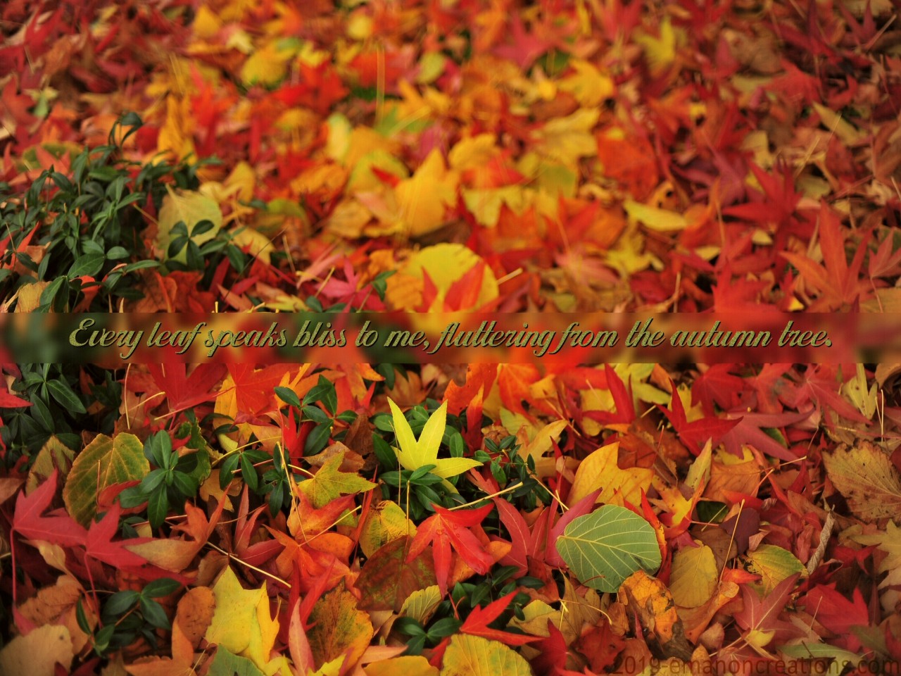 Autumn Bliss Wp 01