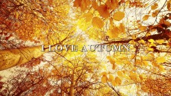Autumn Leaves Wp 03
