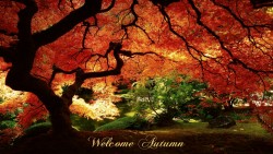 Autumn Welcome 01 Wp