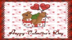 Beary Valentine Wp