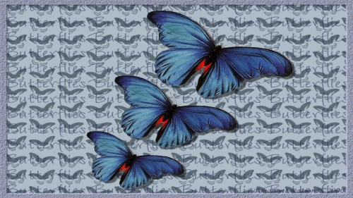 Butterfly Flutter Wp