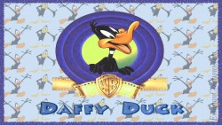 Daffy Wp