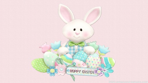 Easter Bunny Wp 13