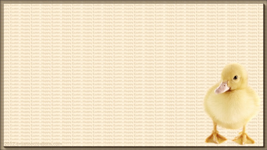 Easter Duck 01 Hd Wp