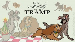 Lady And The Tramp Wp