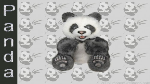 Panda Wp