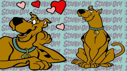 Scooby Wp