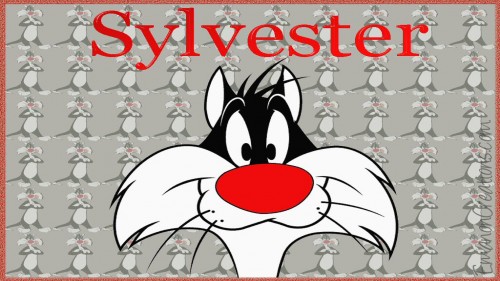 Sylvester Wp