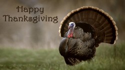 Thanksgiving Turkey Wp 07