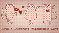 Valentine Cats Wp 01