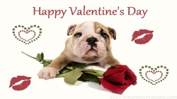 Valentine Doggie 01