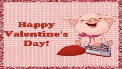 Valentines Pig Wp
